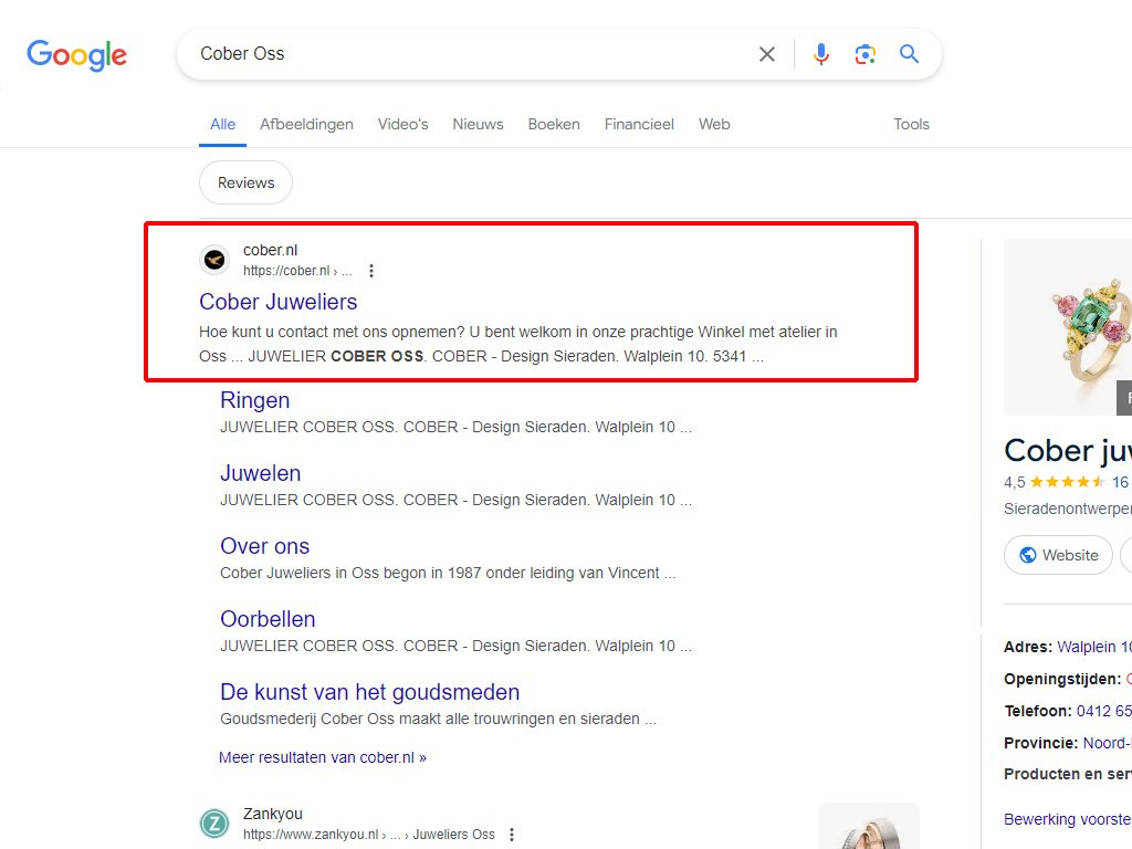 SEO Search Results