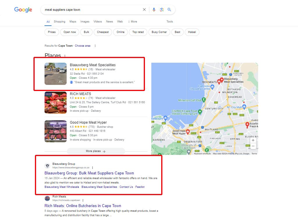 SEO Search Results