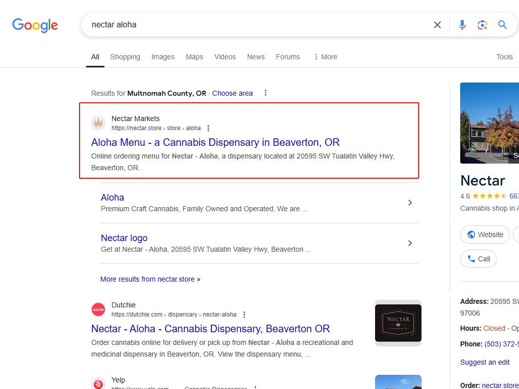 SEO Search Results